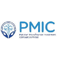 PMIC